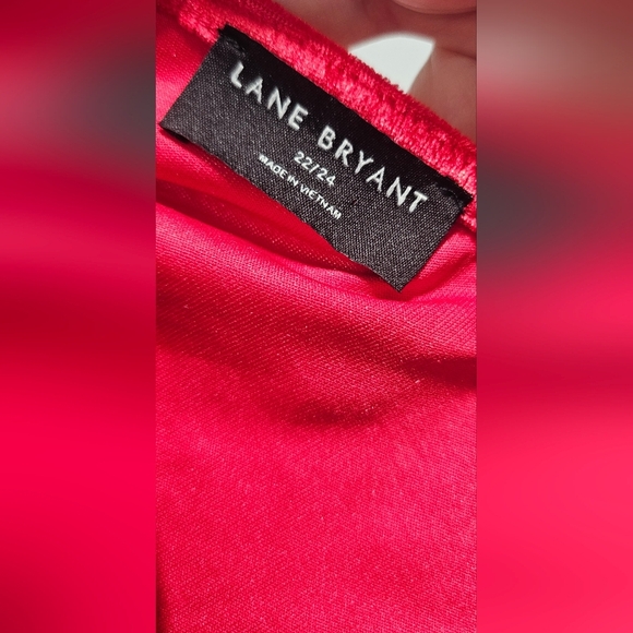 Lane Bryant Women's 22/24 Velvet Red Floral Long Sleeve V Neck Blouse Romantic - Picture 7 of 11